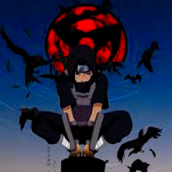 Meet your Posher, Kai - Picture 3 of 8